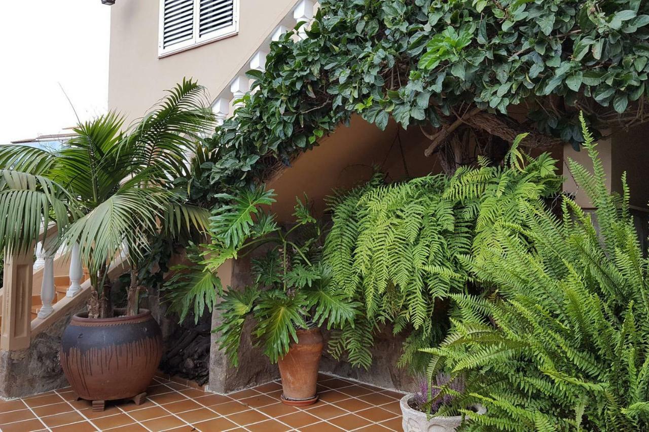 הוילה לה אורוטבה Orotava Garden House Perfect For Families מראה חיצוני תמונה
