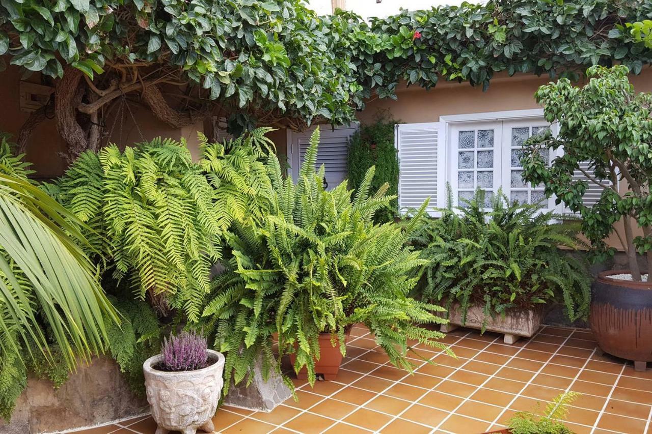הוילה לה אורוטבה Orotava Garden House Perfect For Families מראה חיצוני תמונה